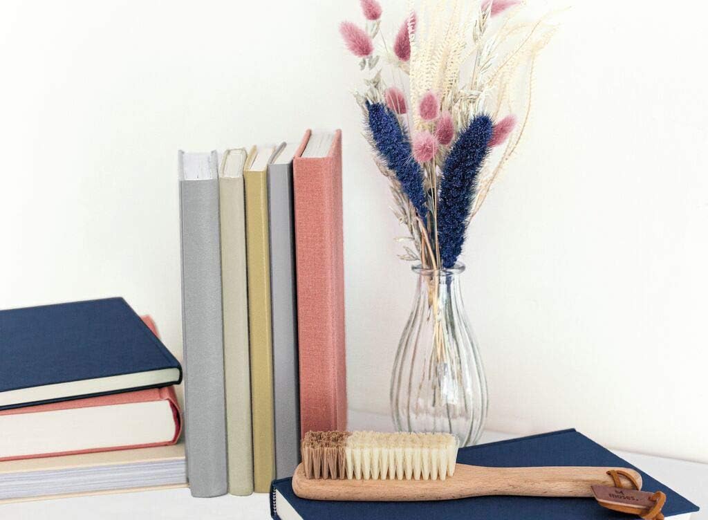 Brosse à dépoussiérer les livres en hêtre, vue 3
