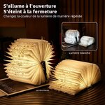 Lampe livre pliable noire à fleurs dorées, vue 5