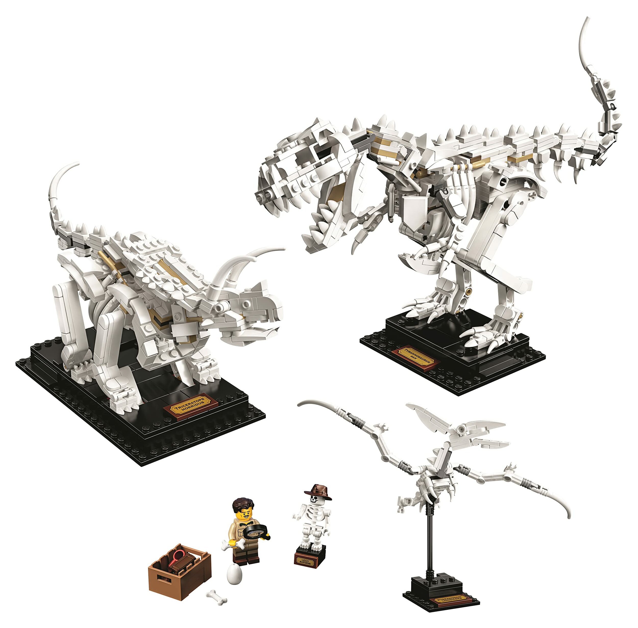 LEGO Ideas 21320, altra vista