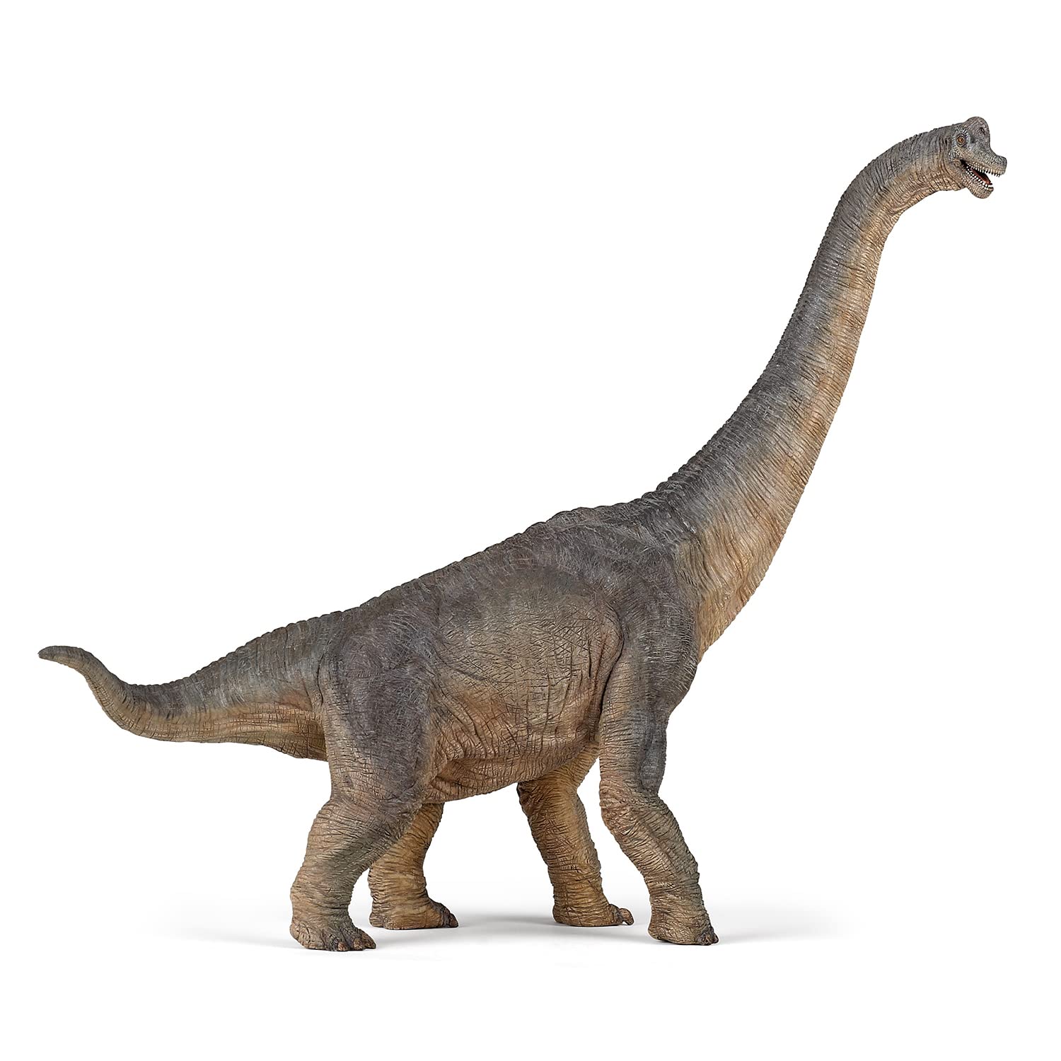 Brachiosauro Papo 55030, altra vista