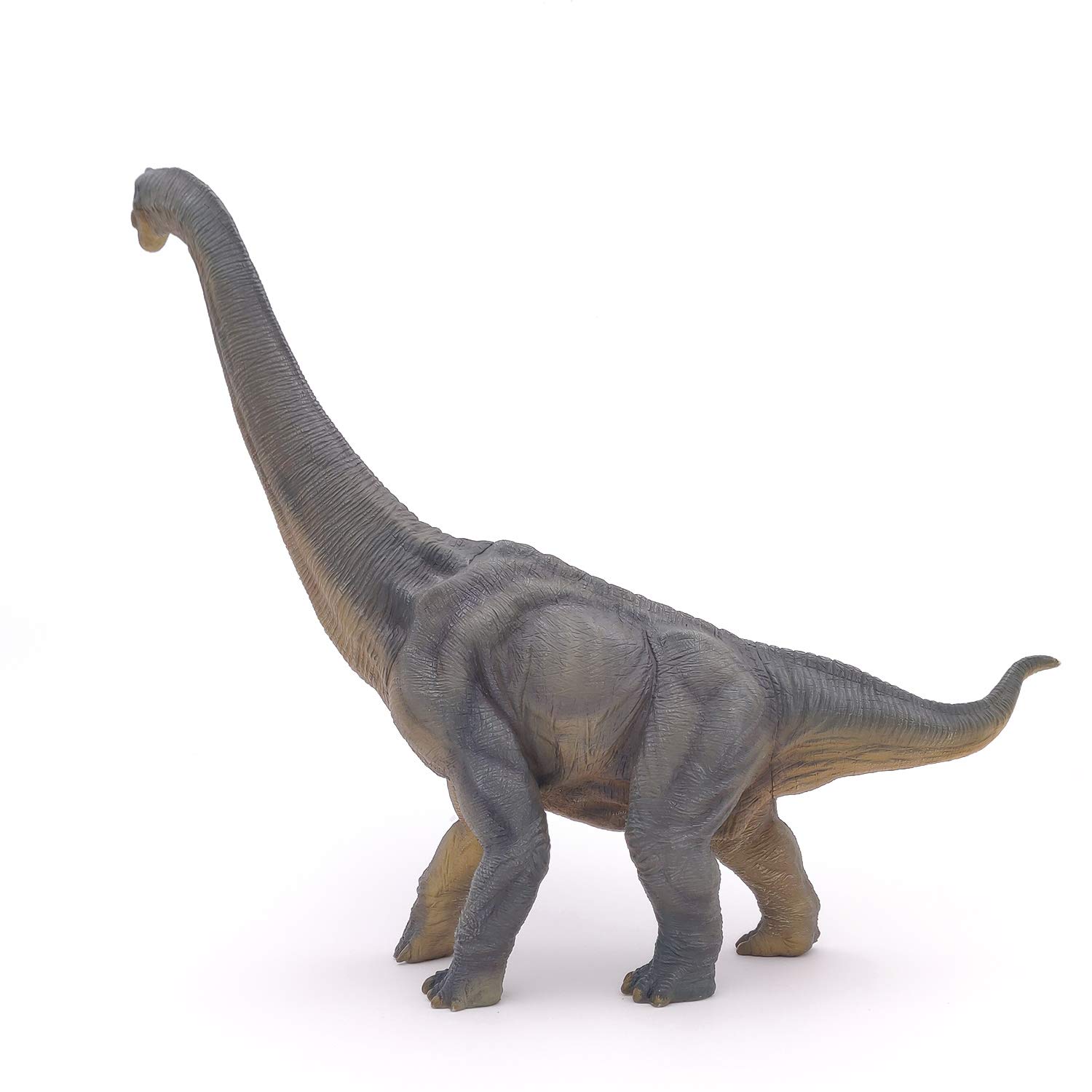 Brachiosauro Papo 55030, dettaglio