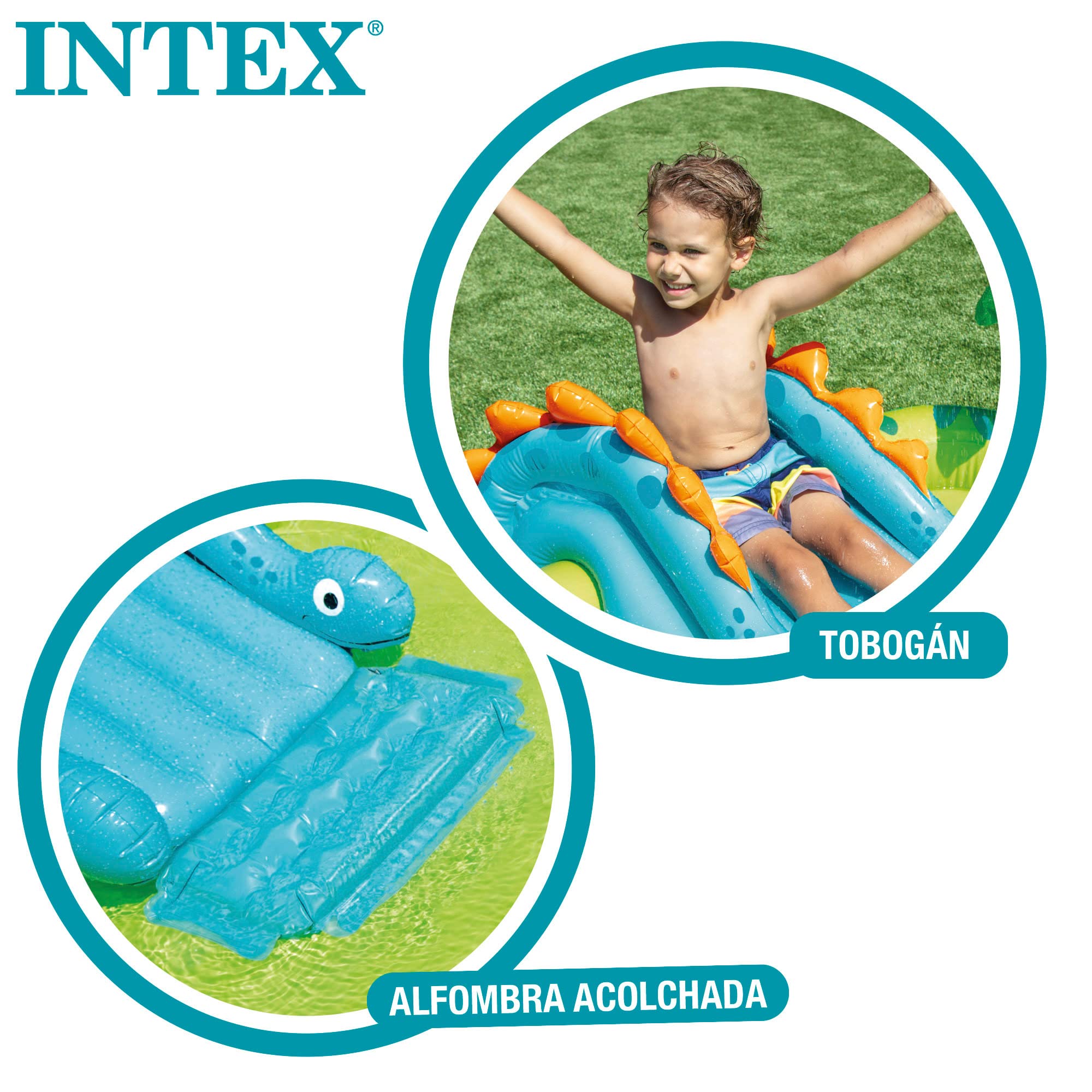 Palma con spruzzino della piscina Intex, dettaglio