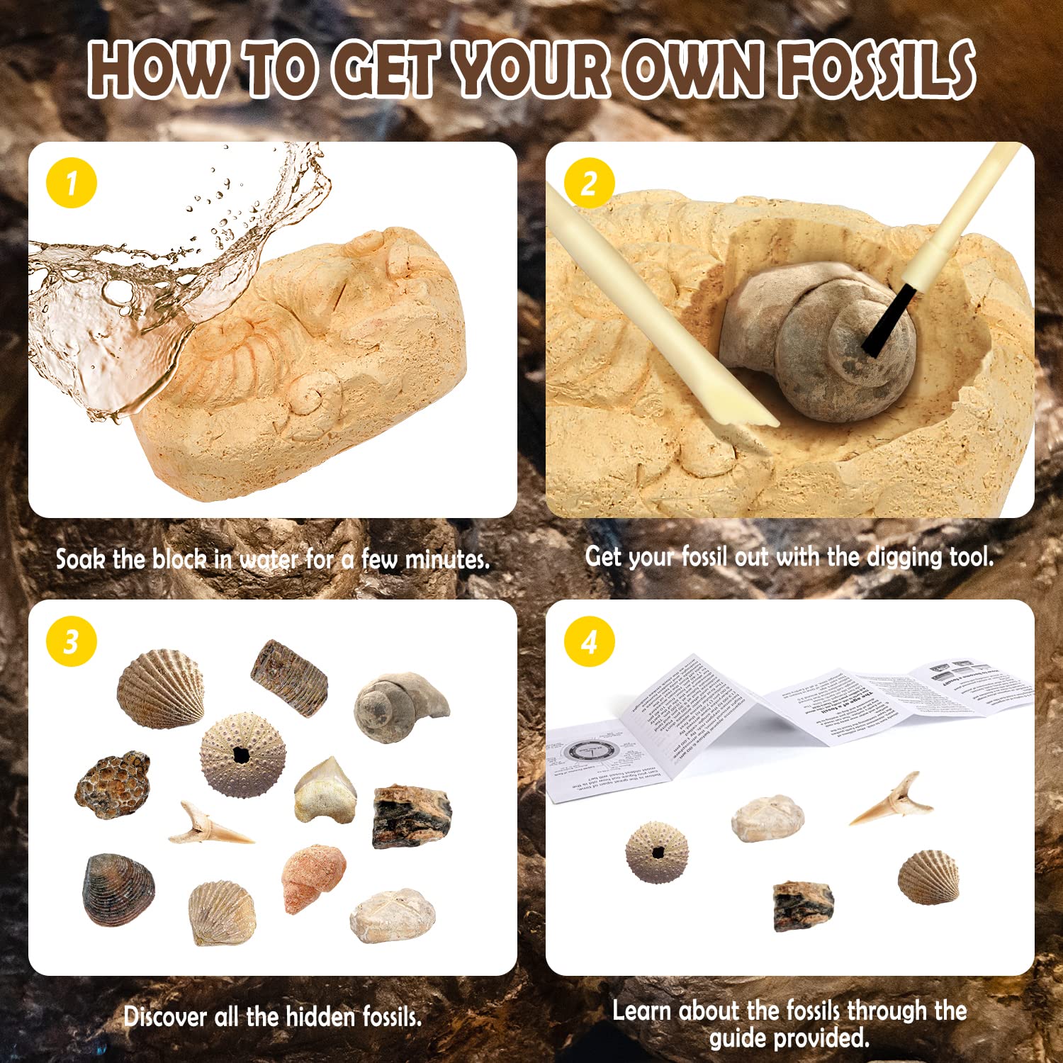 Contenuto del kit scavo fossili Byncceh, altra vista