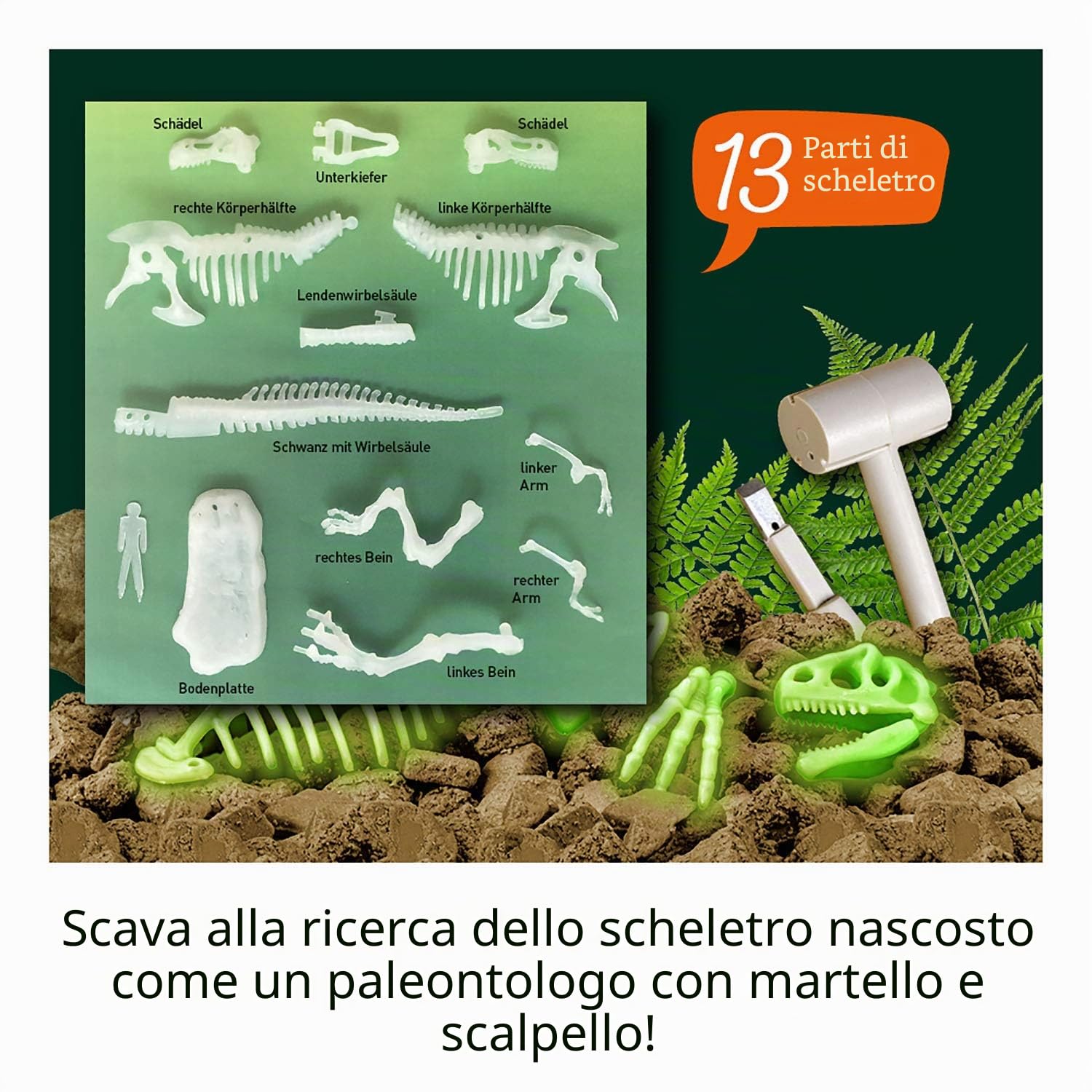 Ossa di T-Rex estratte dal gesso, dettaglio