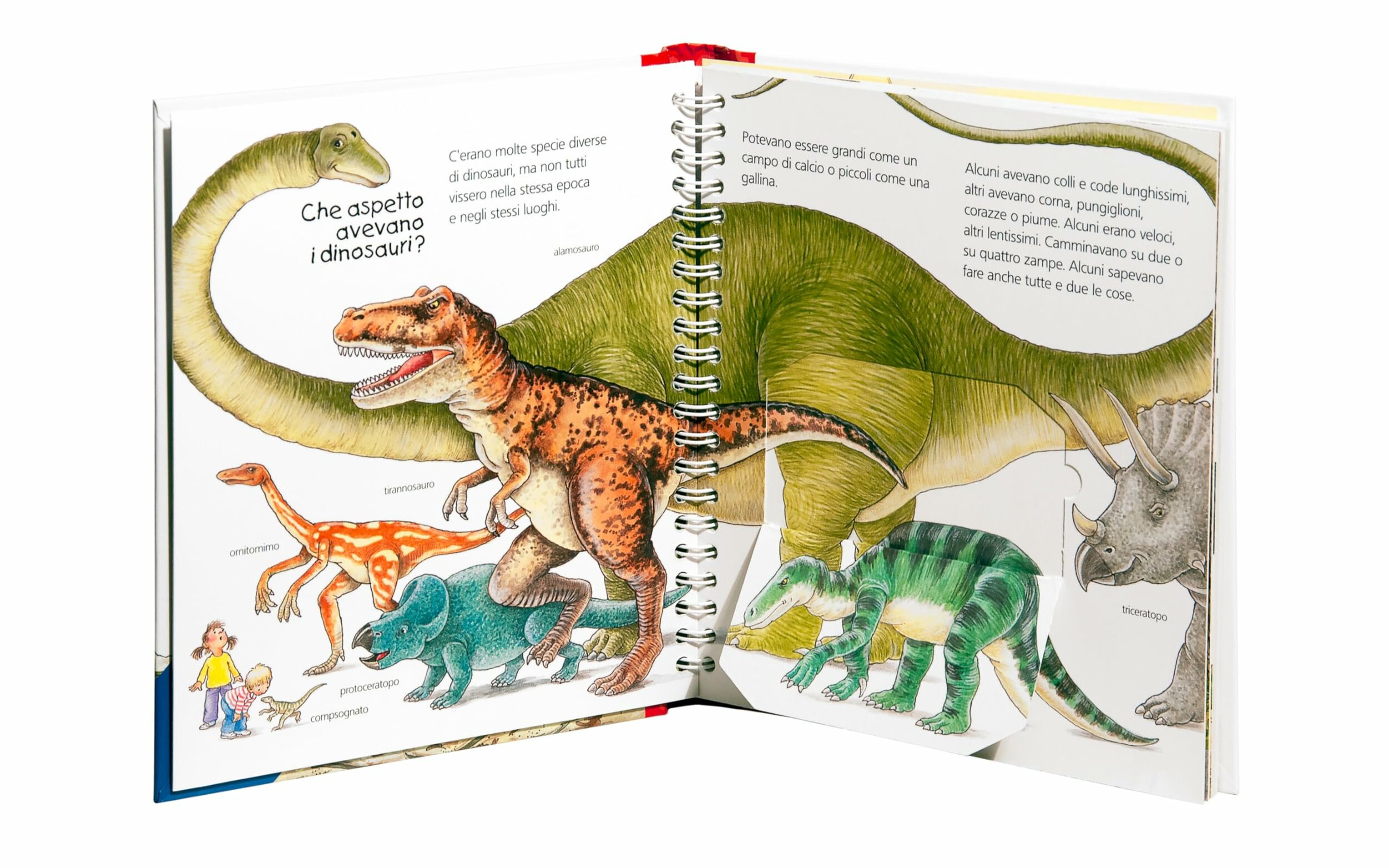 Libro I dinosauri La Coccinella, pagine interne