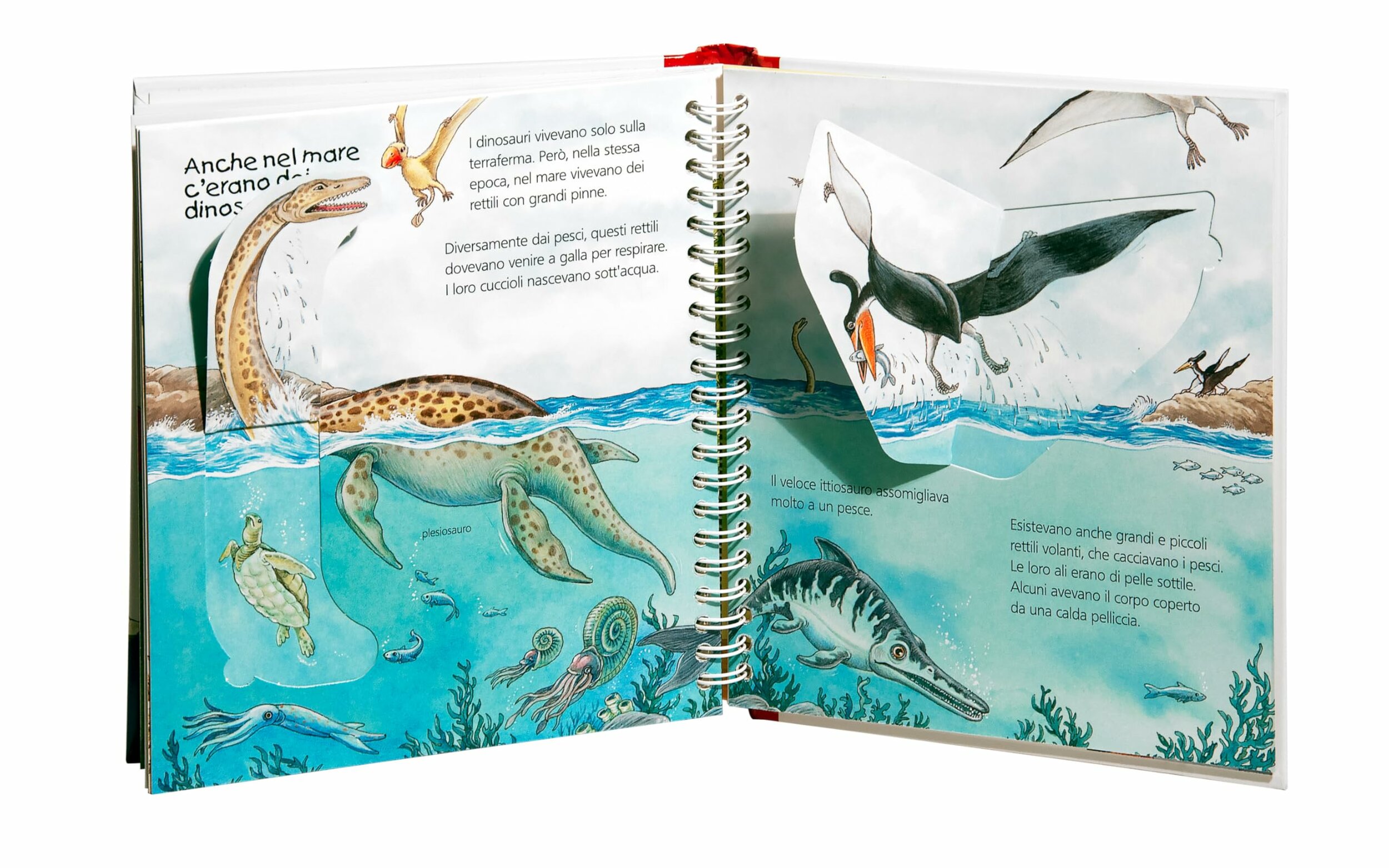 Libro I dinosauri La Coccinella, finestre aperte