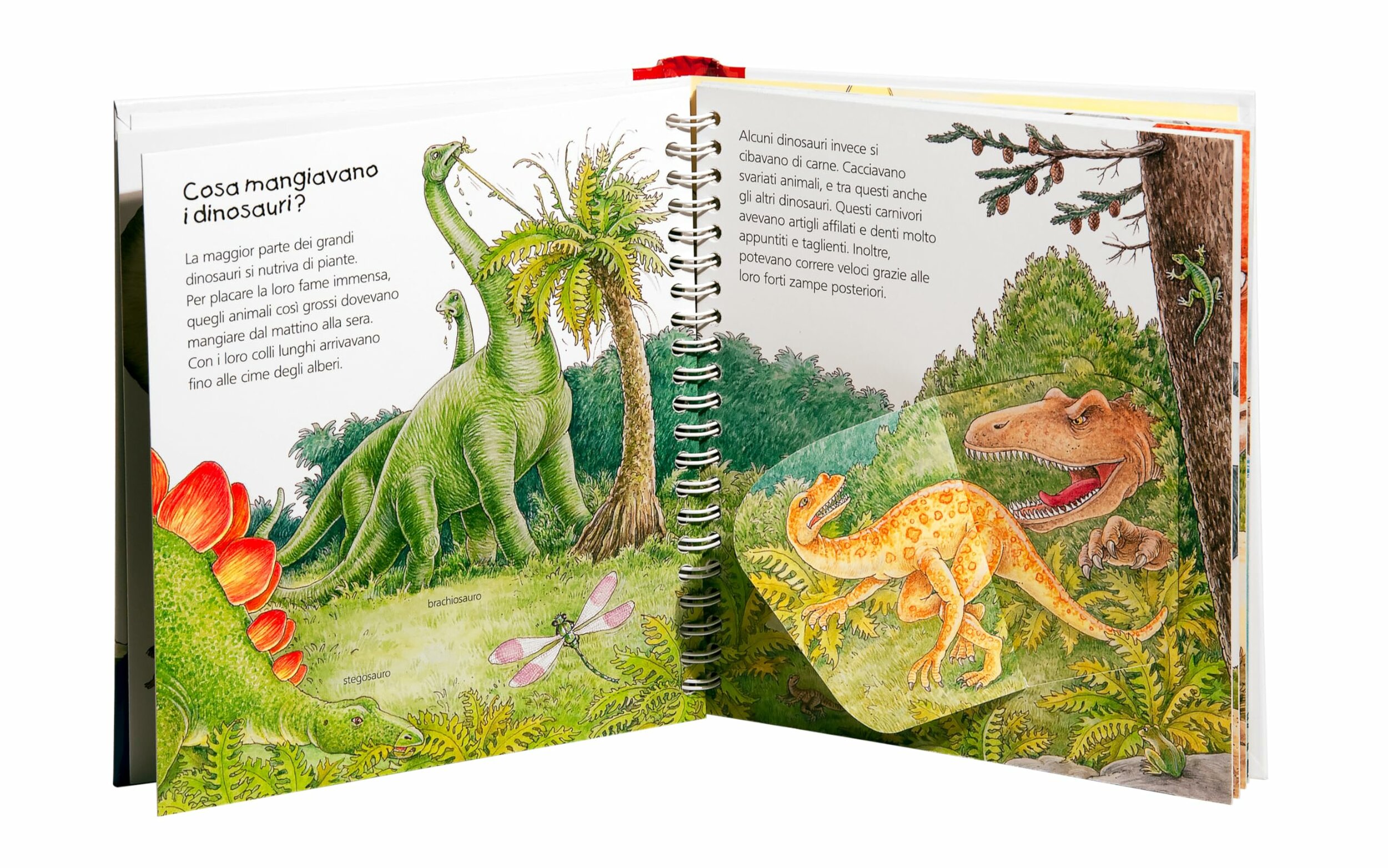Libro I dinosauri La Coccinella, altra pagina