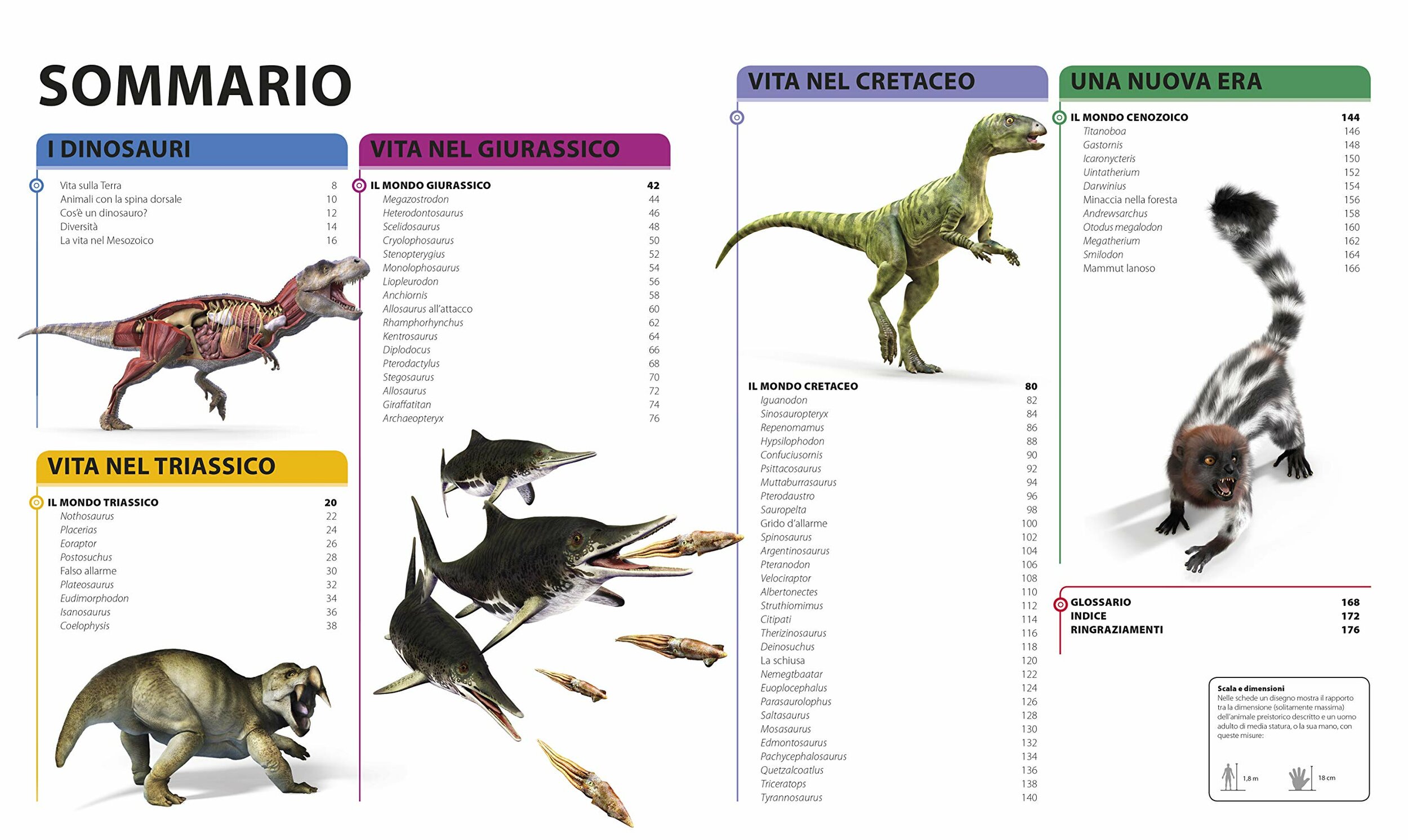 La grande enciclopedia dei dinosauri Gribaudo, pagine interne