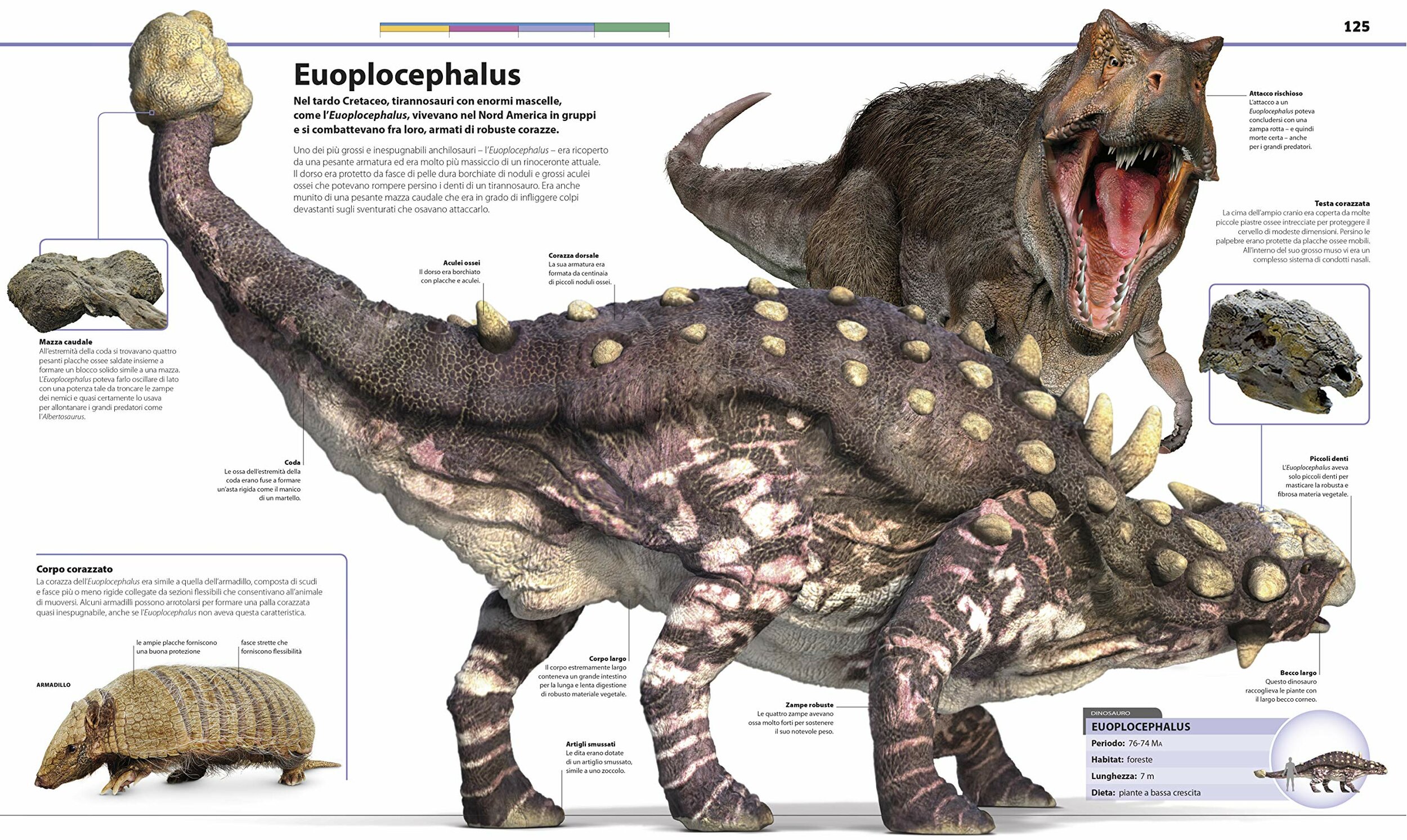 La grande enciclopedia dei dinosauri Gribaudo, altra pagina
