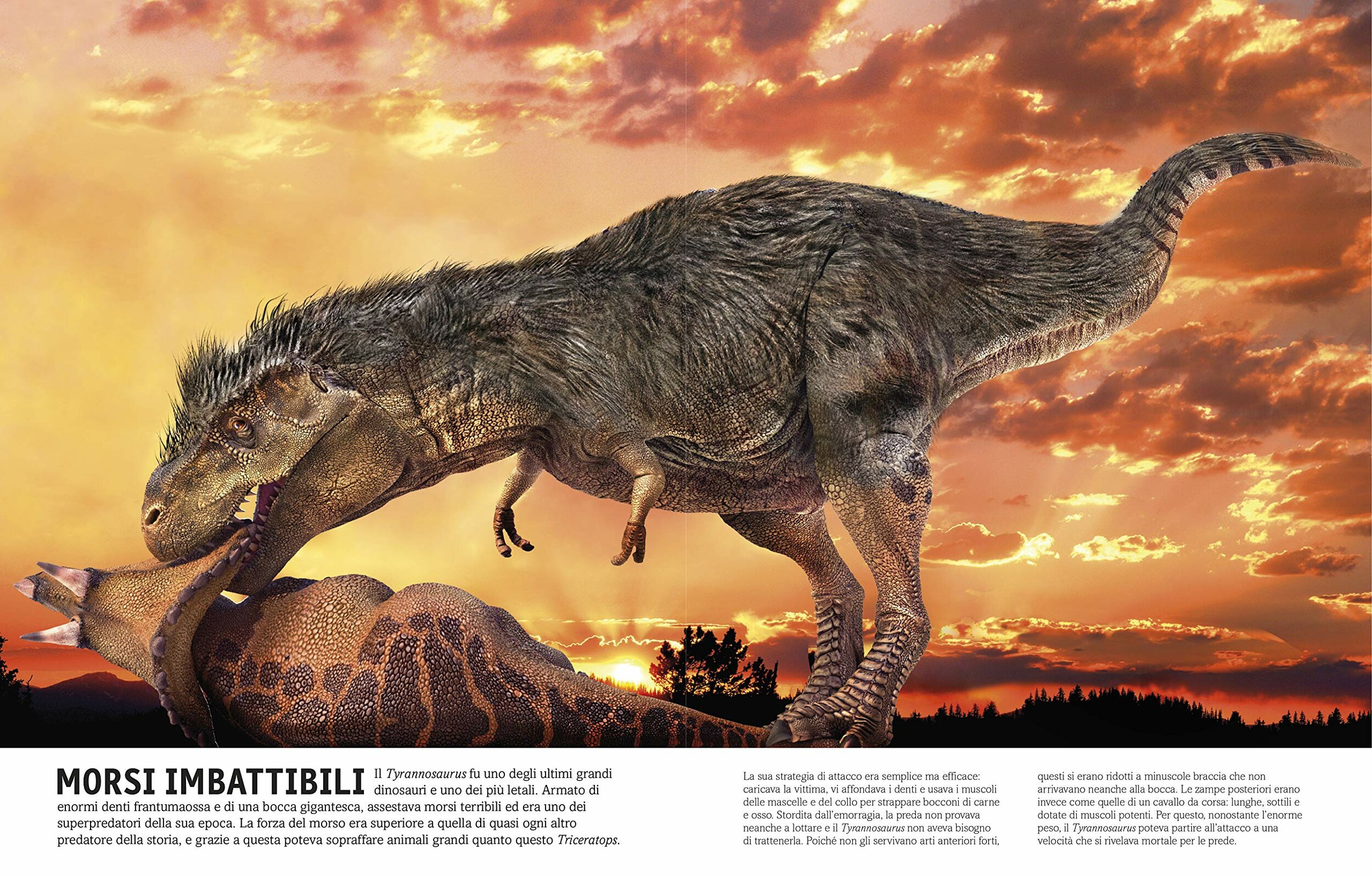 DK Dinosauri, illustrazioni e didascalie