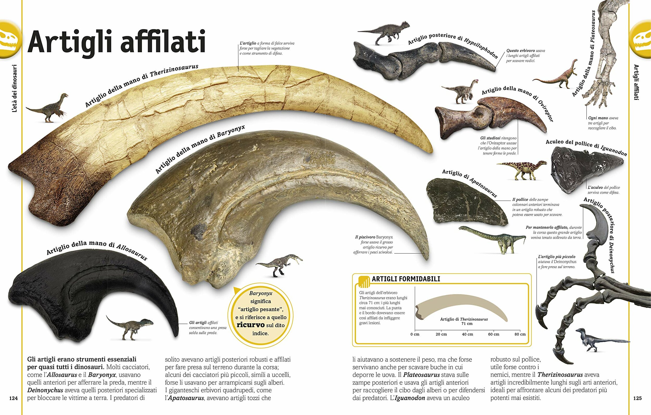 DK Dinosauri, altra pagina