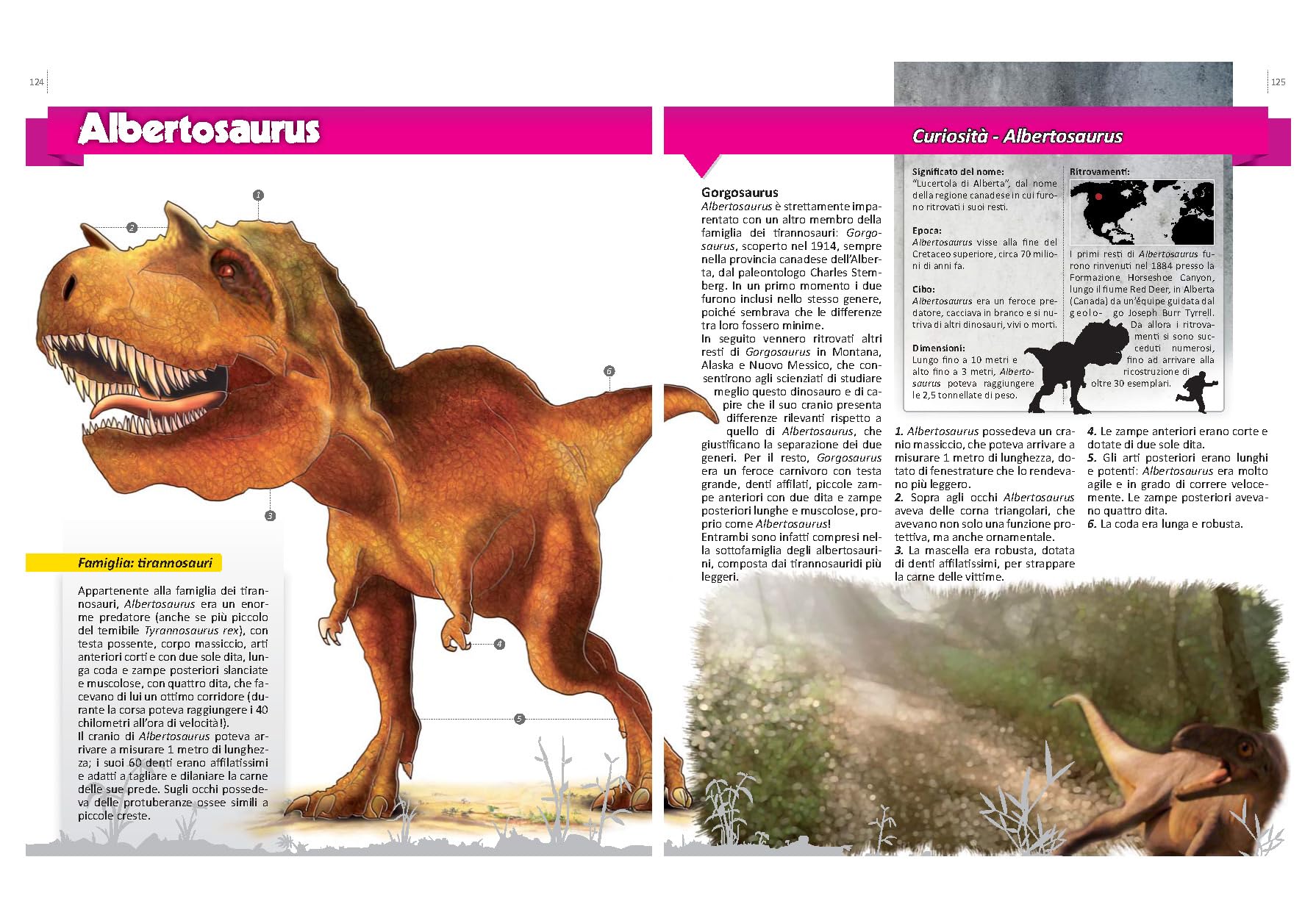 La grande enciclopedia dei dinosauri Crescere, illustrazioni