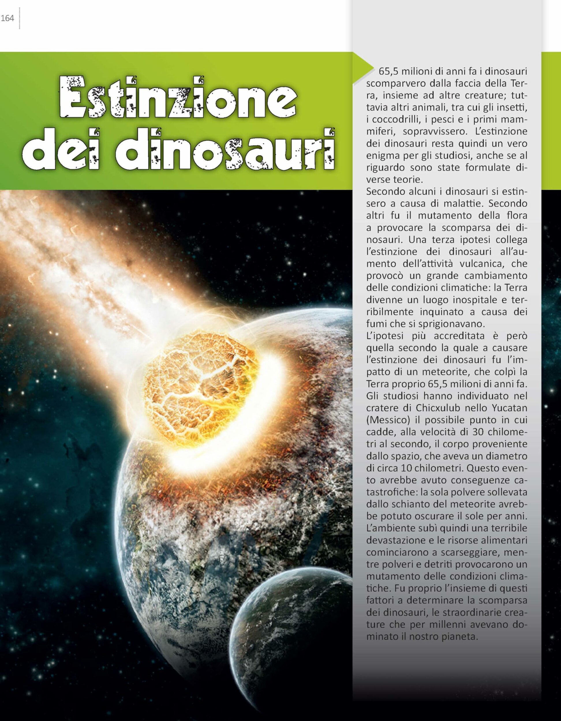 La grande enciclopedia dei dinosauri Crescere, altra pagina