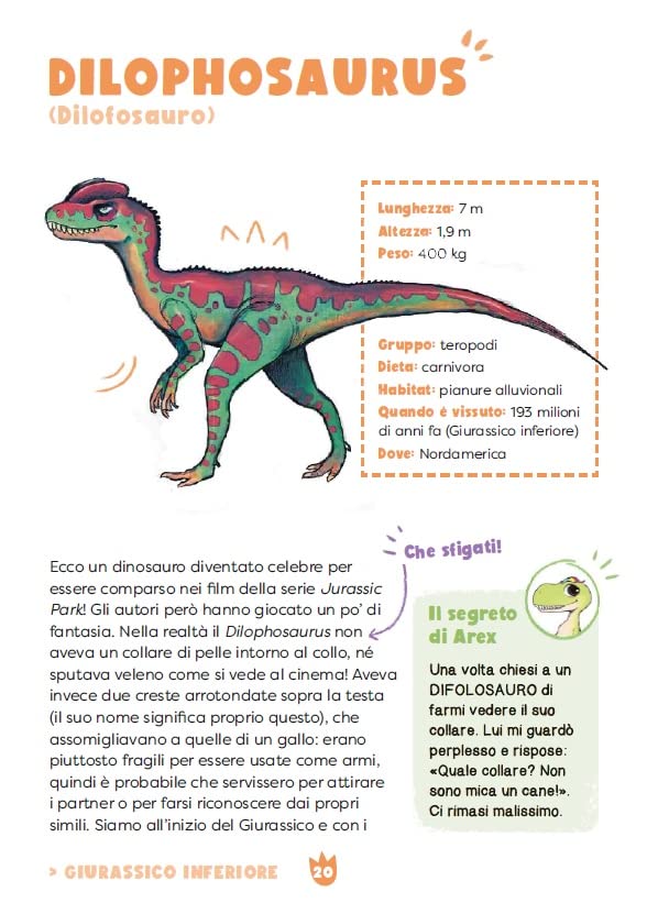 Arex e Vastatore enciclopedia dei dinosauri, pagine interne