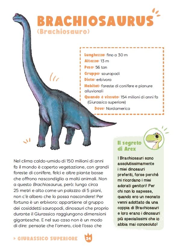 Arex e Vastatore enciclopedia dei dinosauri, altra pagina