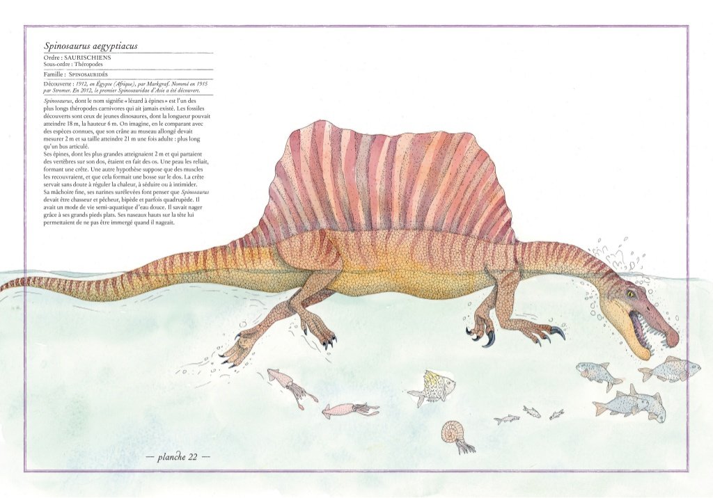 Inventario illustrato dei dinosauri, pagine interne