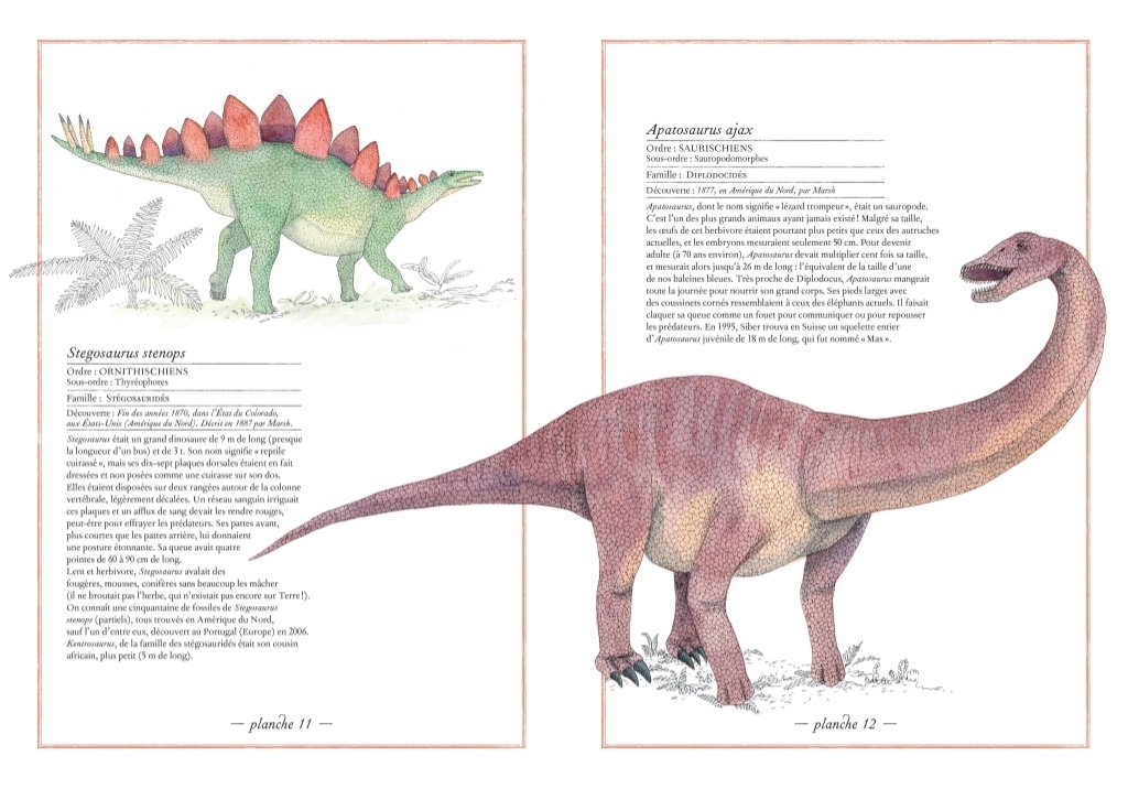 Inventario illustrato dei dinosauri, tavola illustrata