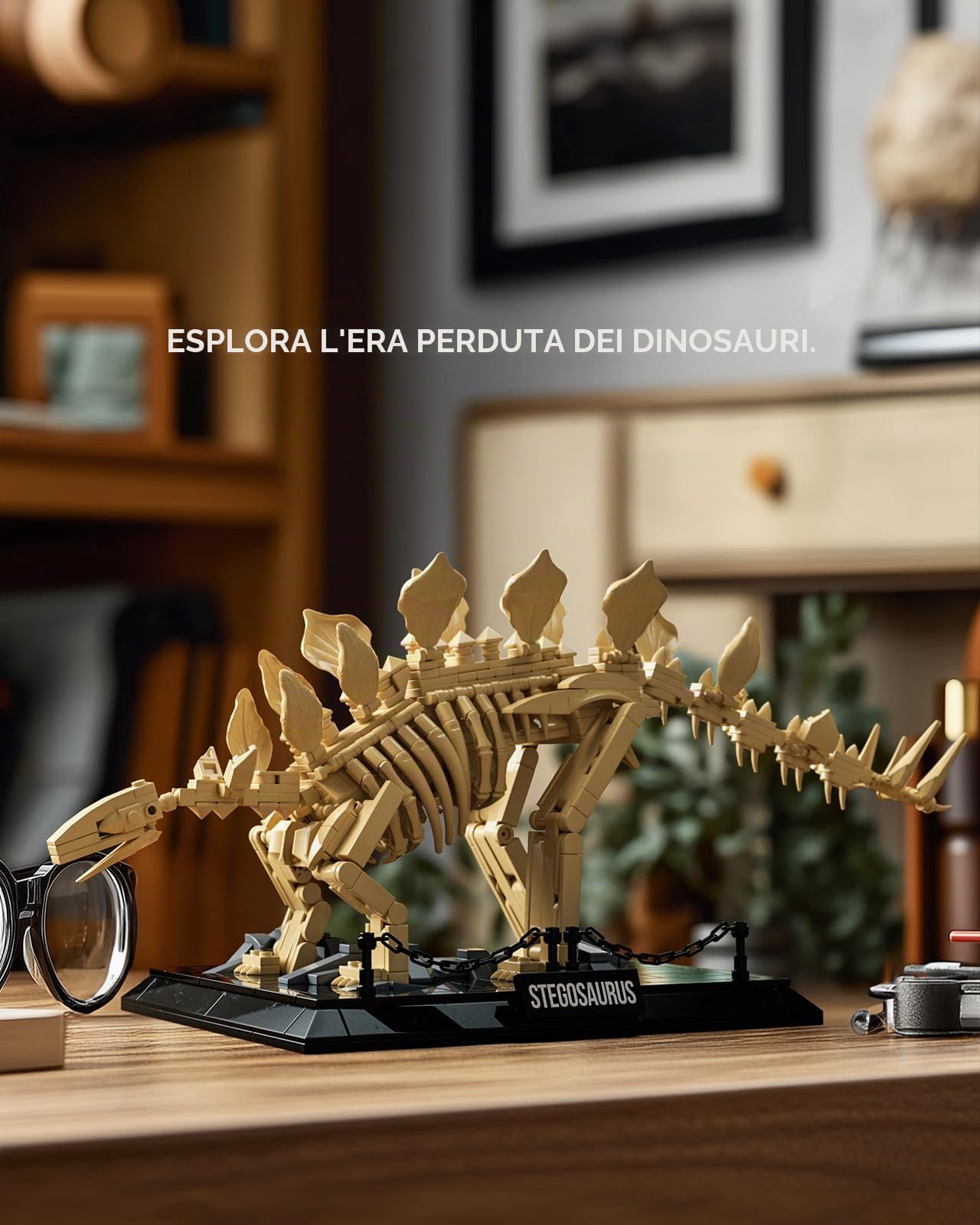 Placche dorsali dello scheletro Nifeliz, dettaglio