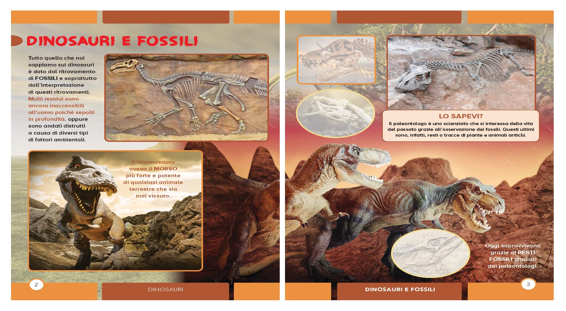 Album Dinosauri Crescere, pagina interna