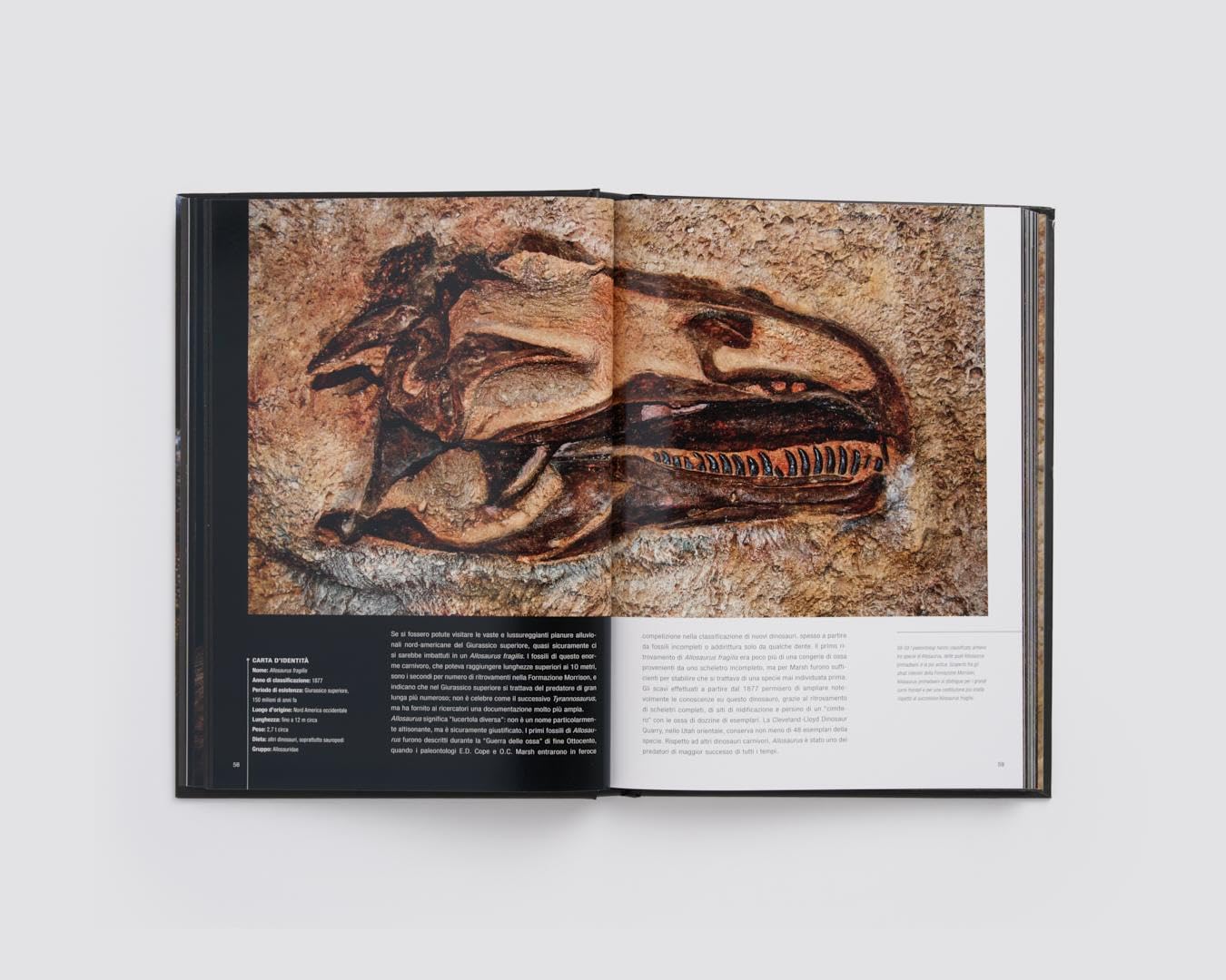 Dinosauri. Profili da un mondo perduto, altra pagina
