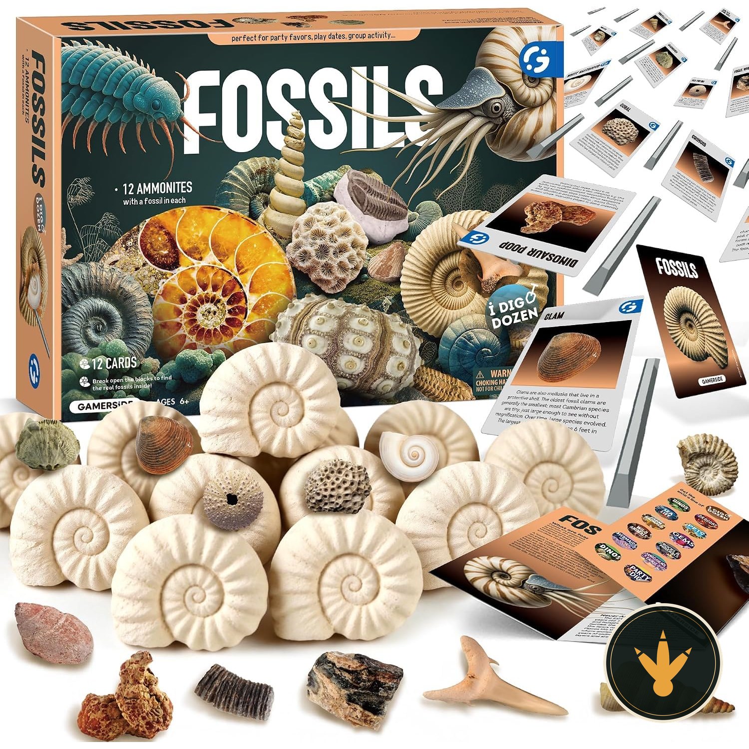 Kit Byncceh con 12 blocchi di gesso, scalpelli e spazzole