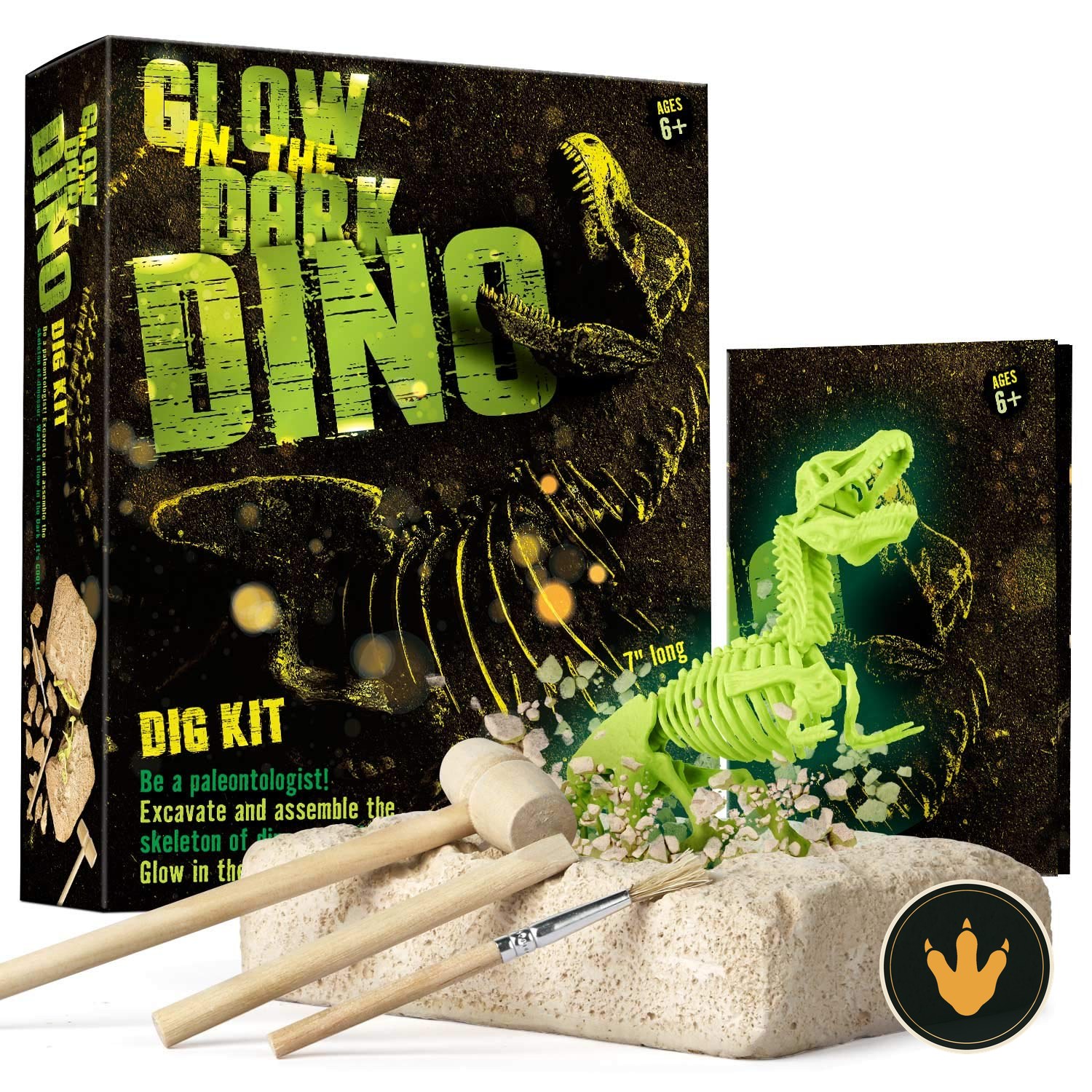 Kit scavo Dr. Daz con blocco e scheletro di T-Rex luminoso