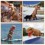 Costume gonfiabile T-Rex marrone PARAYOYO, altra vista