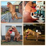 Costume gonfiabile T-Rex marrone PARAYOYO, dettaglio