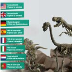 Blocchi di scavo e attrezzi del kit Science4you, altra vista