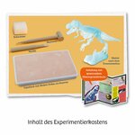 Scheletro di T-Rex montato che brilla al buio, dettaglio