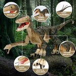 Velociraptor telecomandato FRUSE SM180, altra vista