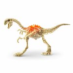 Scheletro di Stegosauro Robo Alive montato e illuminato, dettaglio