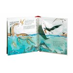 Libro I dinosauri La Coccinella, finestre aperte