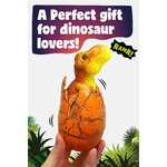 Dinosauro Nurchums appena uscito dal guscio, dettaglio