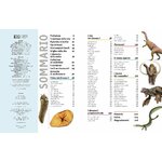 DK Dinosauri, pagine interne