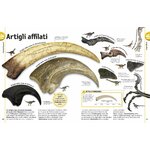 DK Dinosauri, altra pagina