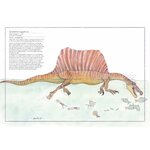 Inventario illustrato dei dinosauri, pagine interne