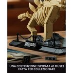 Scheletro Nifeliz su una libreria, altra vista
