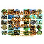 Album Dinosauri Crescere, foglio di adesivi