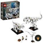 LEGO Ideas Fossili di dinosauro 21320, confezione e scheletri montati
