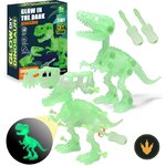 Scheletri luminosi di T-Rex e raptor STAY GENT con cacciaviti