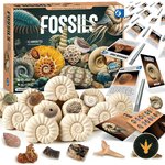 Kit Byncceh con 12 blocchi di gesso, scalpelli e spazzole