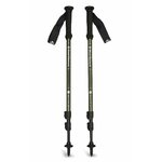 Bastoncini da trekking Black Diamond Trail Explorer 3, immagine principale