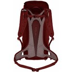 Dettaglio dello zaino Salewa Alp Mate 30 Ws