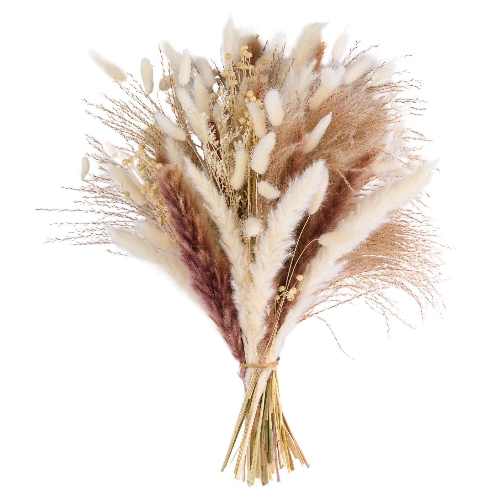Lockerer Trockenblumenstrauß aus weißem und braunem Pampasgras, Bunny Tails und Federgras, freigestellt