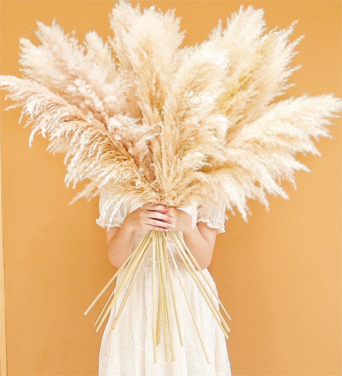 10 Pampas Grass XXL, Deko Gross für Boho DekoWohnzimmer Tisch Schlafzimmer Hochzeits Badezimmer (100cm) 100cm-10-A 2