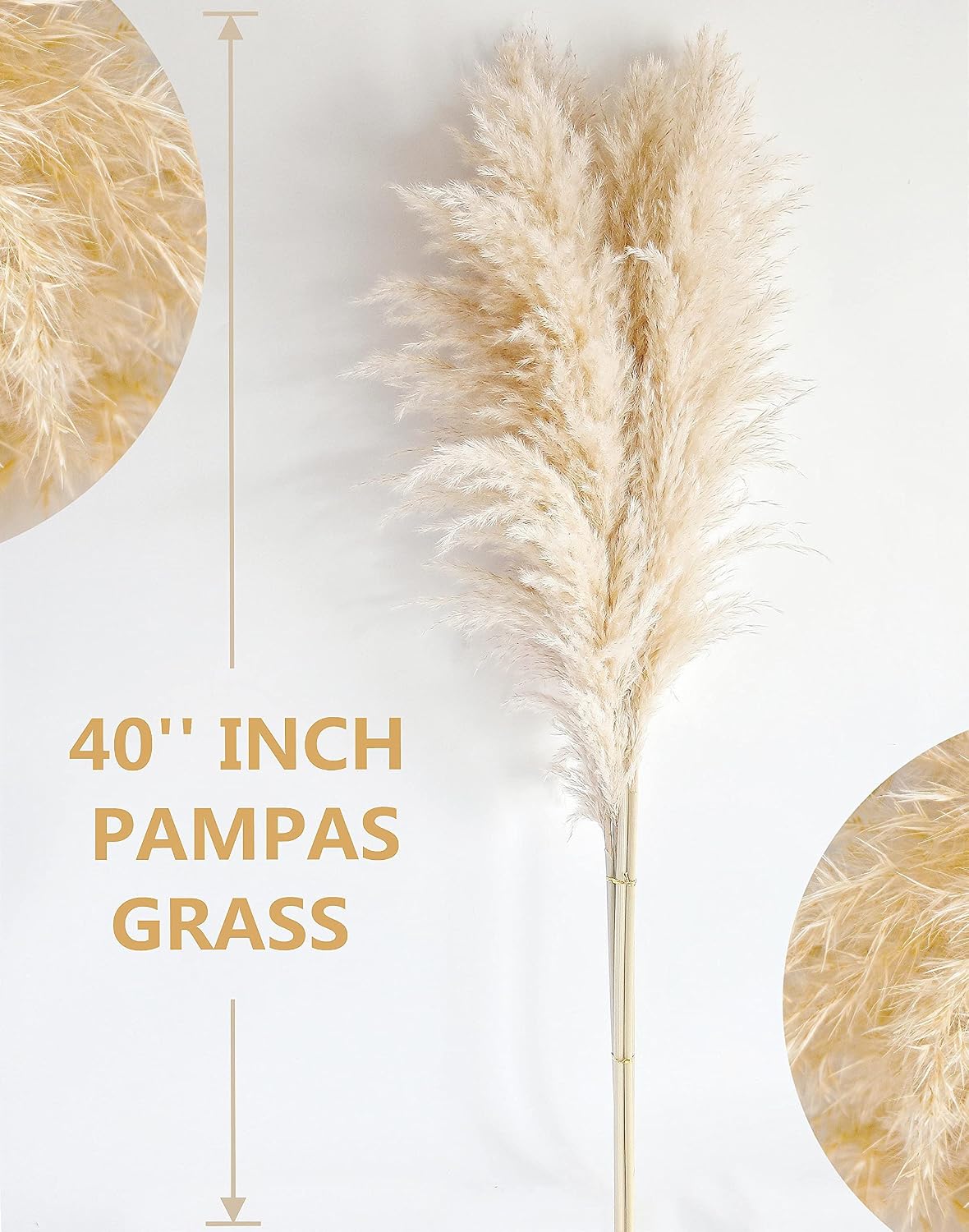 10 Pampas Grass XXL, Deko Gross für Boho DekoWohnzimmer Tisch Schlafzimmer Hochzeits Badezimmer (100cm) 100cm-10-A 3
