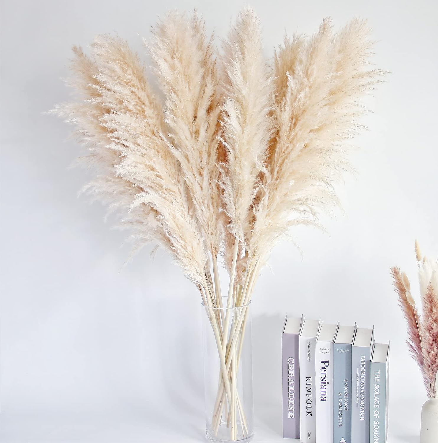 10 Pampas Grass XXL, Deko Gross für Boho DekoWohnzimmer Tisch Schlafzimmer Hochzeits Badezimmer (100cm) 100cm-10-A 6