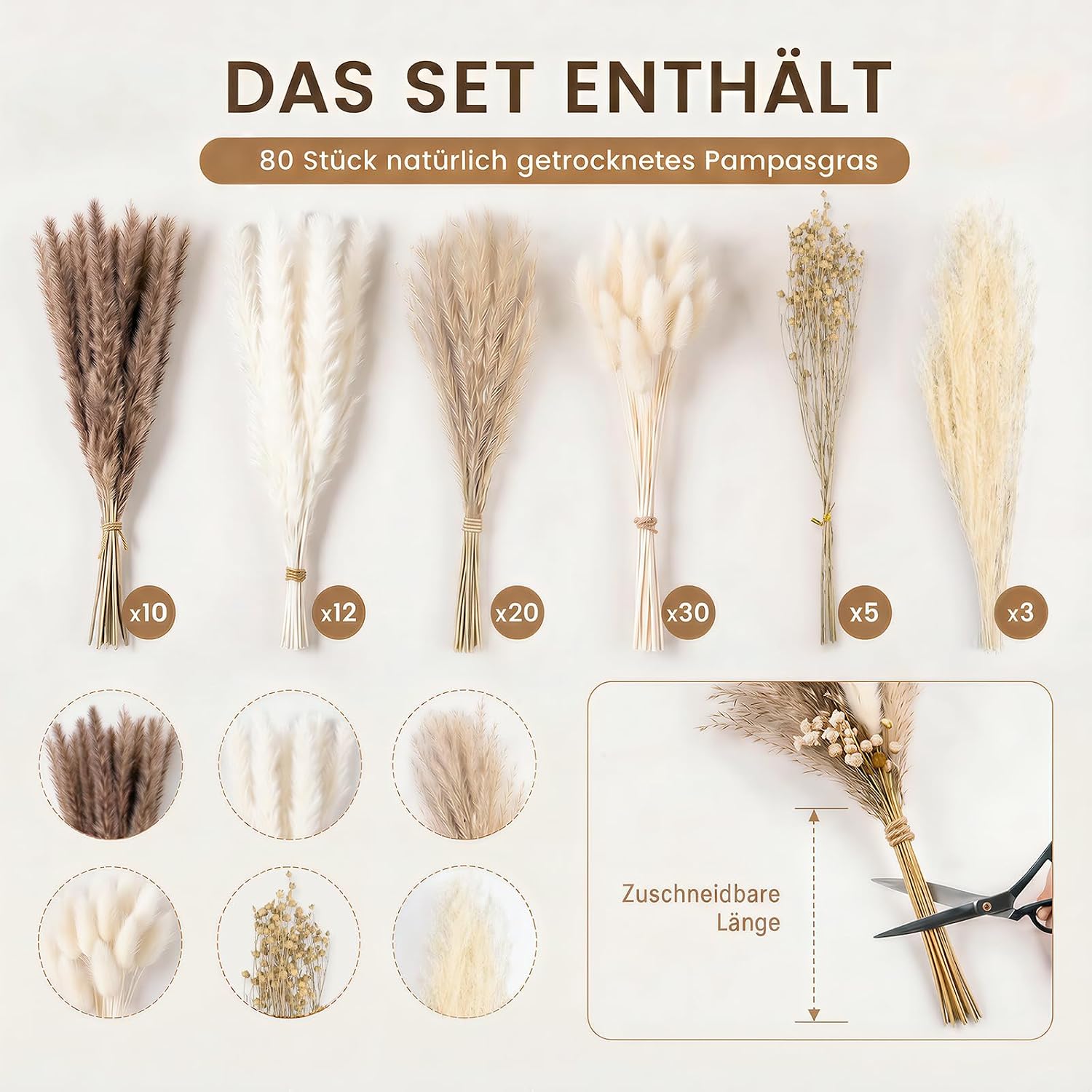 BOSONER Pampasgras Trockenblumen Boho Deko: 80-teiliges Trockenblumenstrauß Set mit natürlichen getrockneten Pampas Gras Pl 2