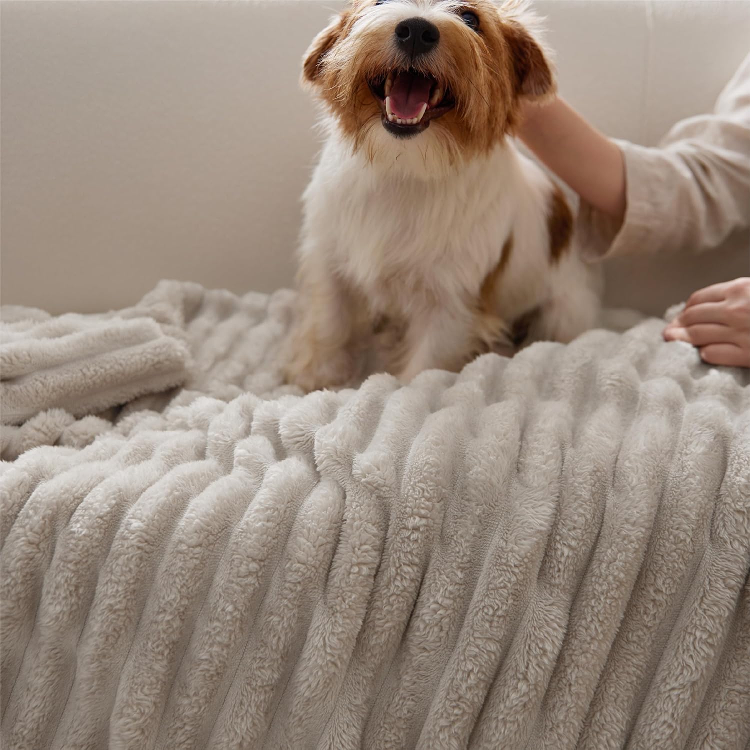 BEDSURE Kuscheldecke 150x200 Zimmer Deko - Tagesdecke, Beige 10-beige 150 x 200 cm 9
